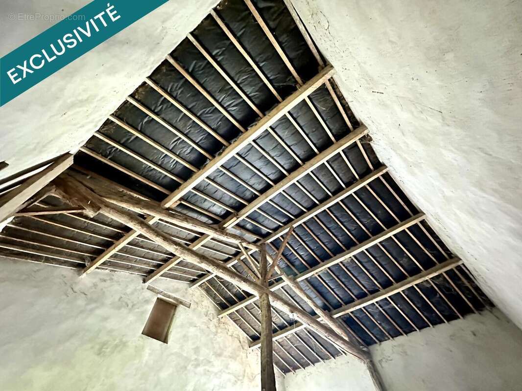 Photo 3 - Appartement à LEZOUX