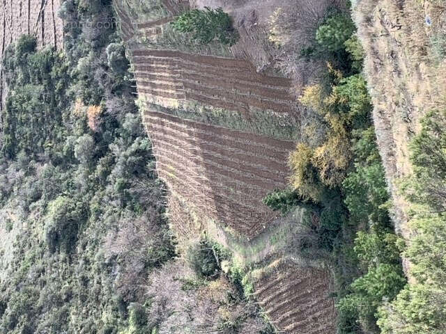 Maison à BANYULS-SUR-MER