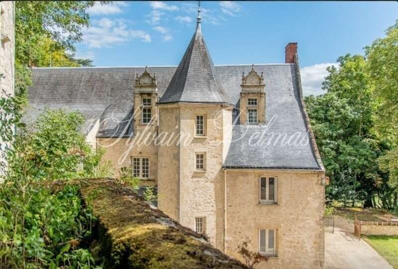 Propriete à vendre 18 pièces proche de TOURS (37) - photo 3