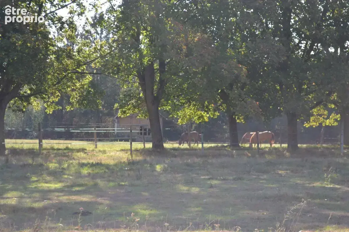 Maison de campagne sur 3ha à bâtir (27) - photo 2