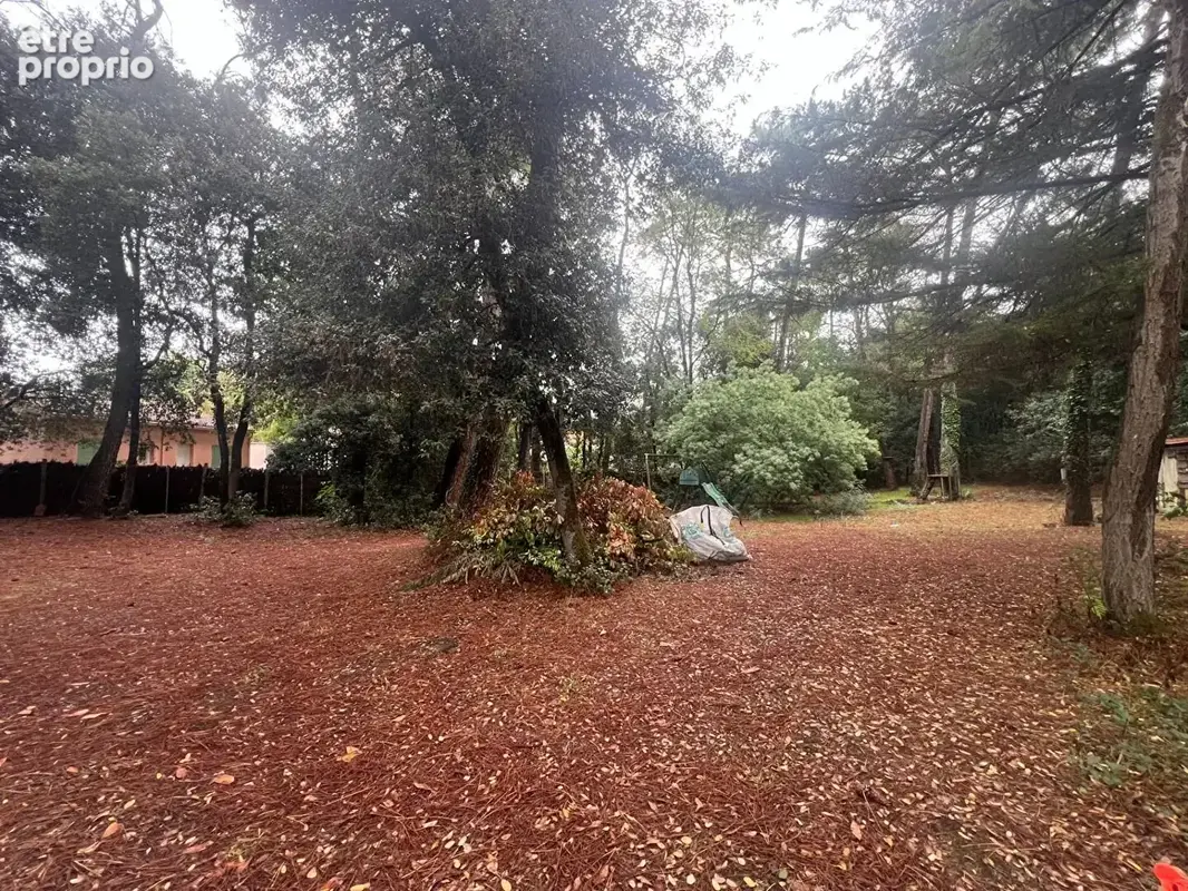 Terrain Jard Sur Mer 1154 m2 - photo 2