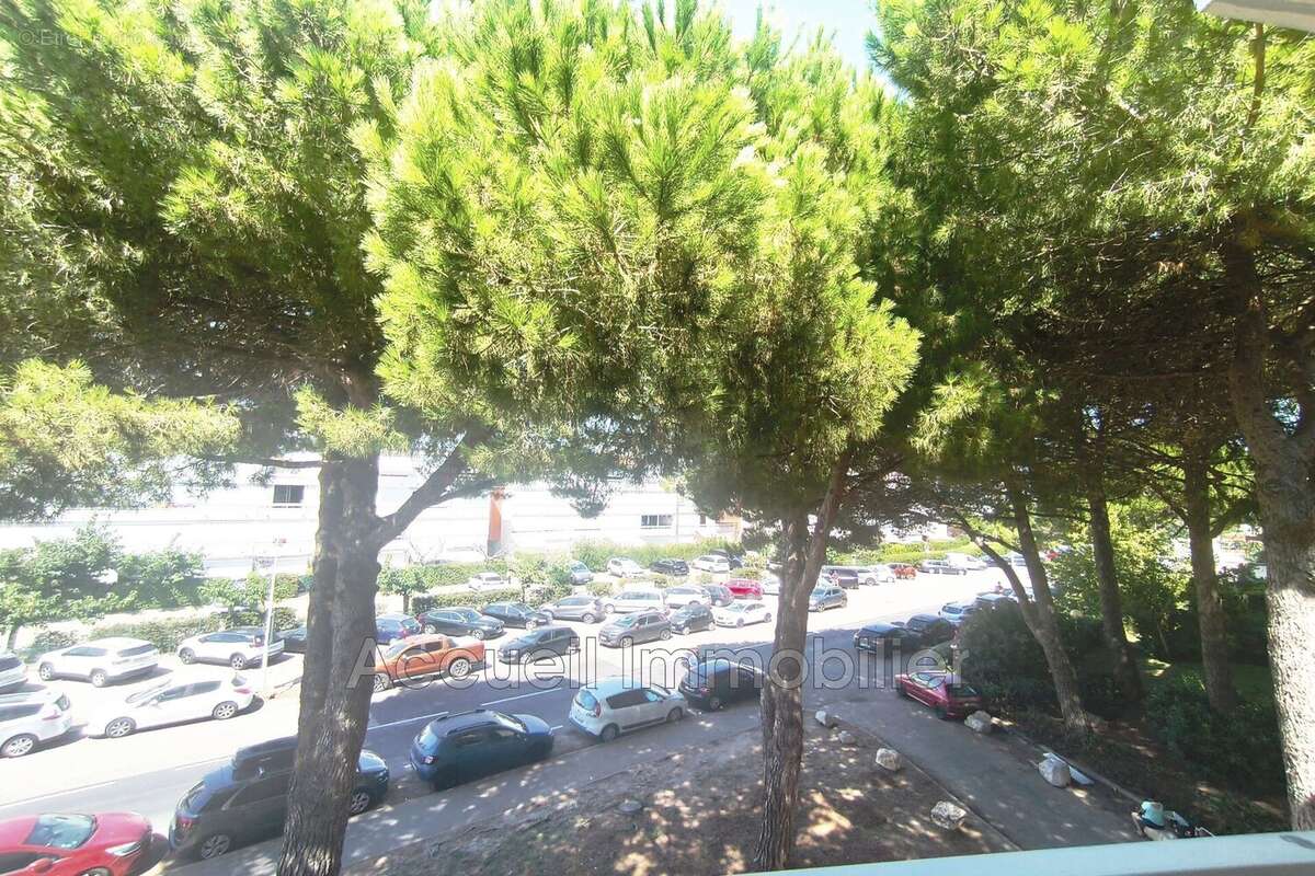 Appartement 30 m² à Le Grau-Du-Roi  - photo 9