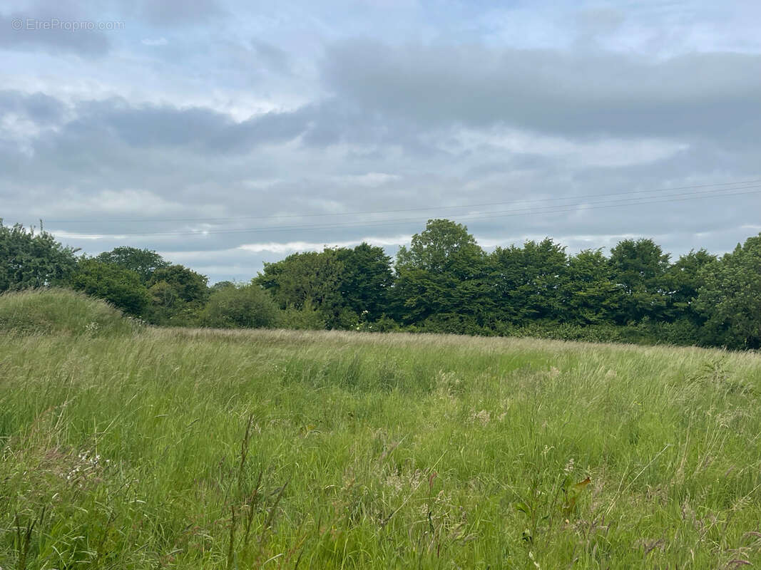 Maison à BOSC-RENOULT-EN-OUCHE