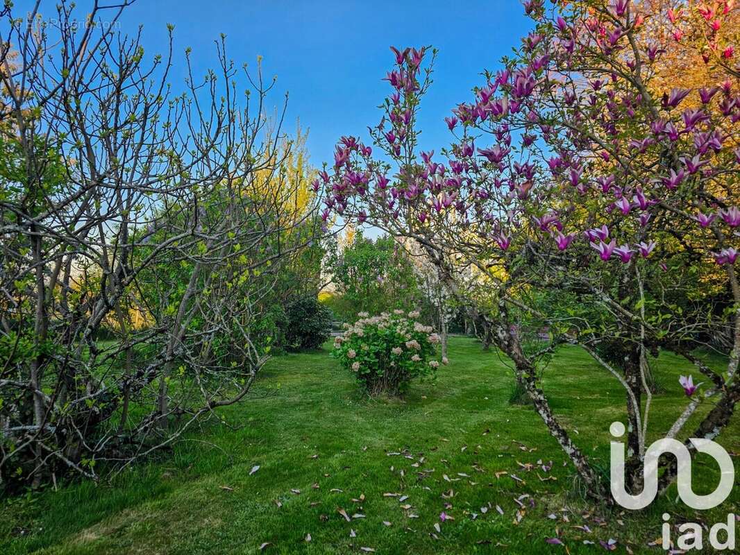 Photo 4 - Maison à ORADOUR-SUR-VAYRES