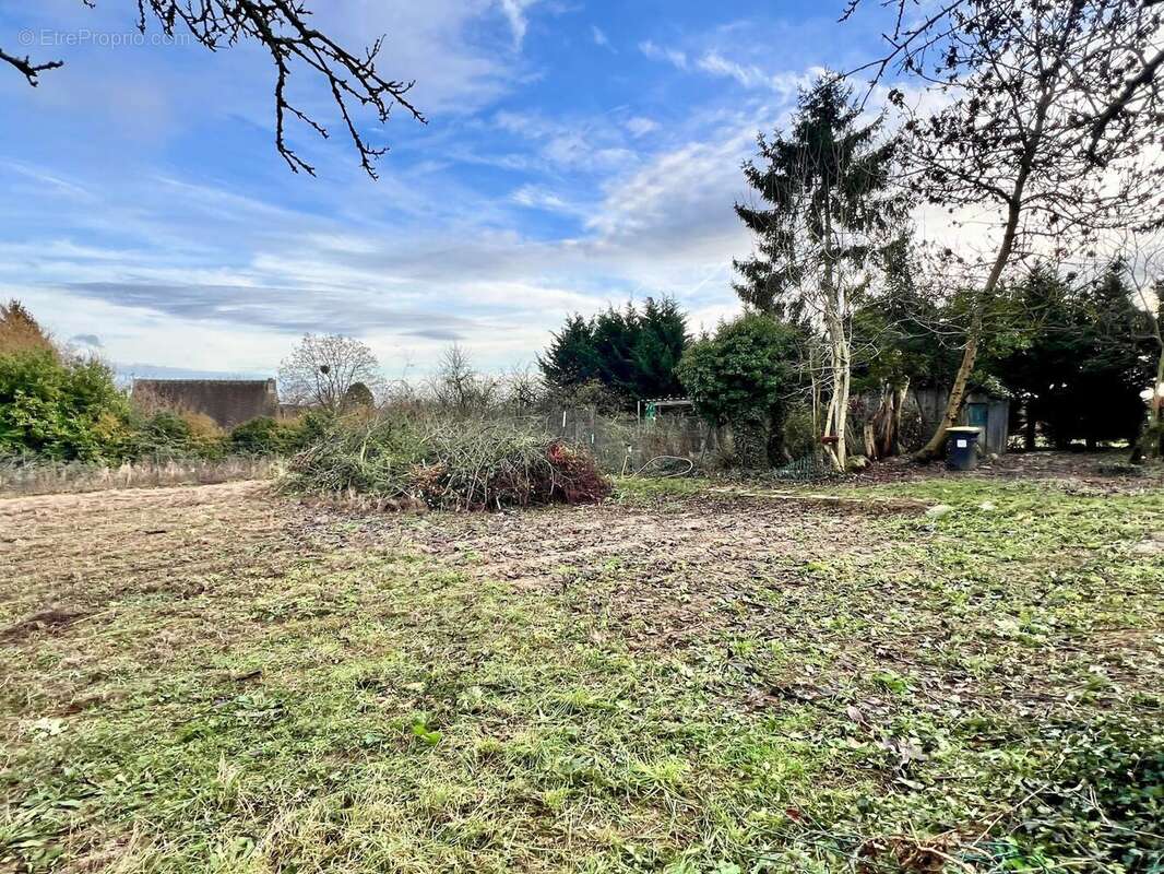 Photo 2 - Maison à VILLERS-COTTERETS