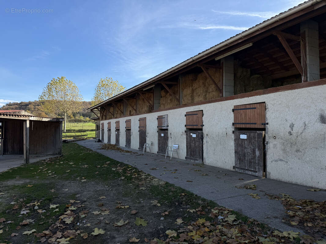 Haras meyrie 2 pièces 49358 m2 - photo 8