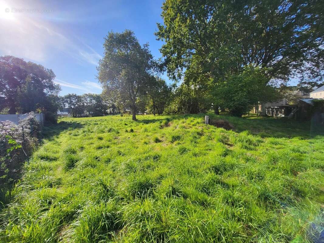 Terrain à SAINT-MOLF