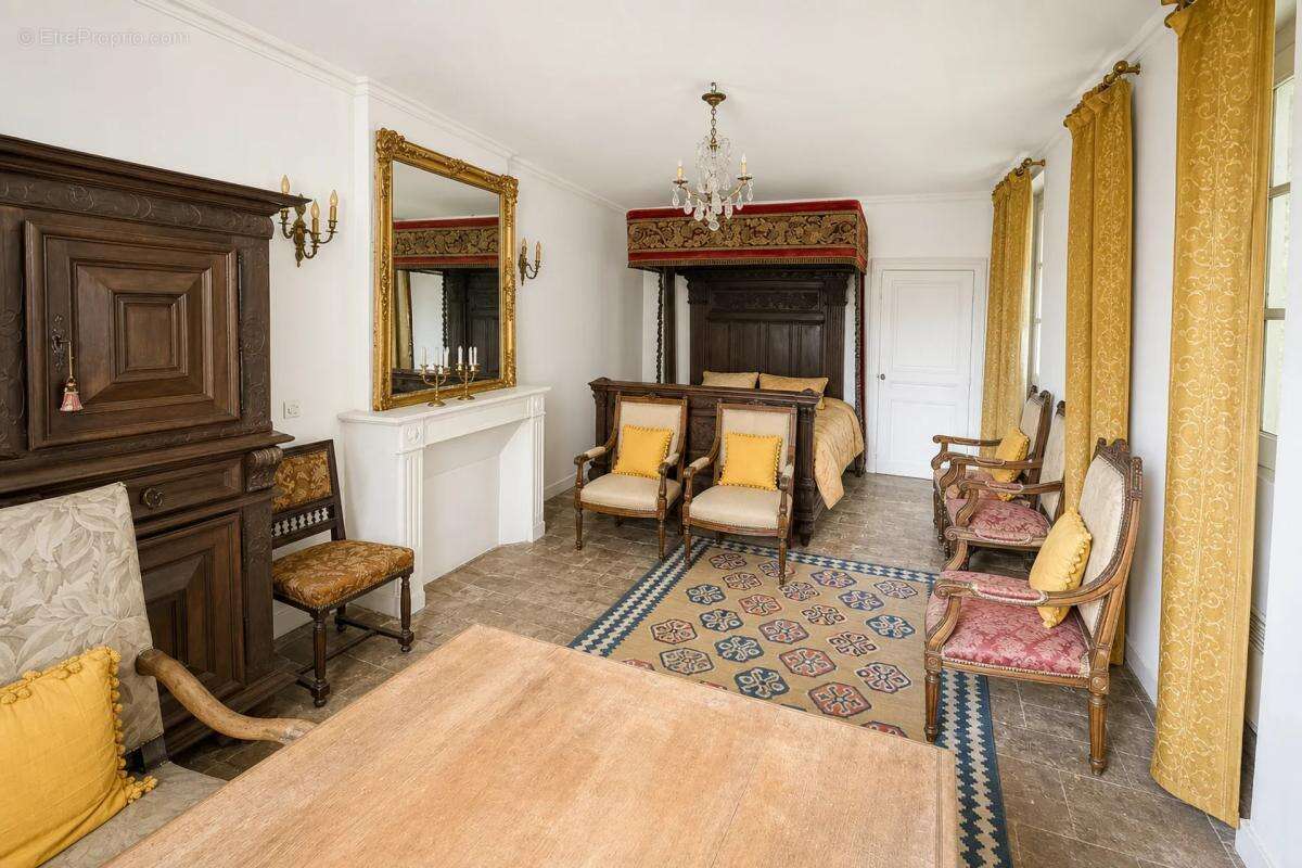 Majestueux Hôtel Particulier à Châtillon-sur-Indre - photo 10