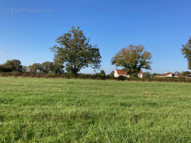 Terrain à AVERMES