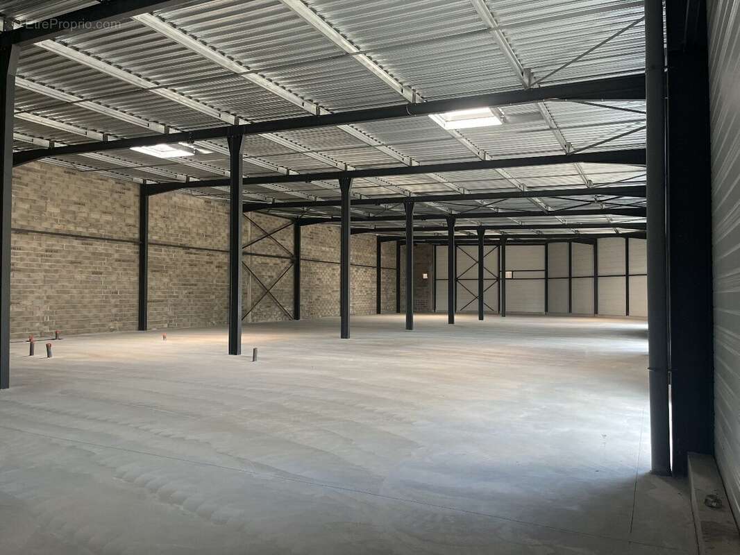 Commerce à BENESSE-MAREMNE