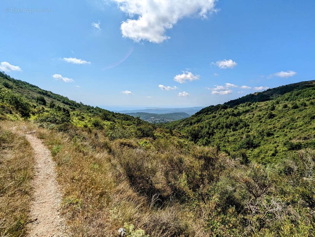 Terrain de 68490 m2 NON CONSTRUCTIBLE, Vence 06140 - photo 9