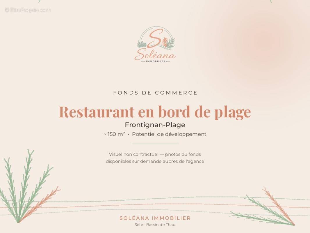 Commerce à FRONTIGNAN