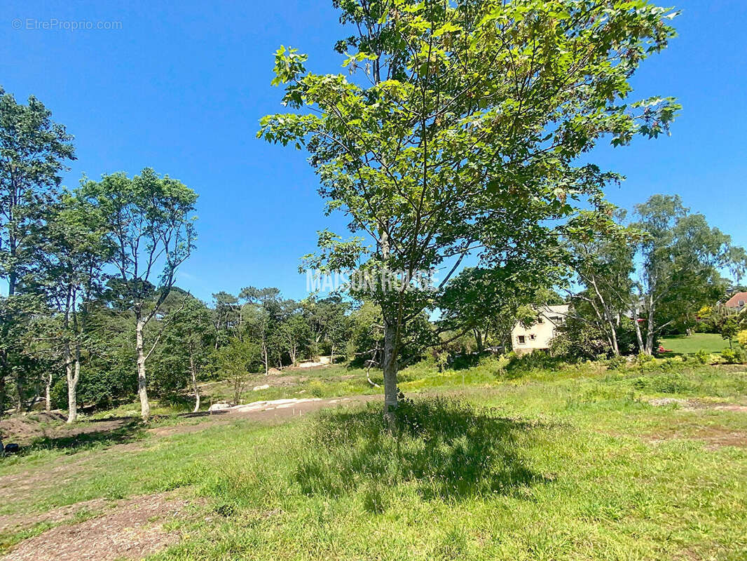 PERROS-GUIREC Terrain  libre de constructeur hors lotissement - photo 5