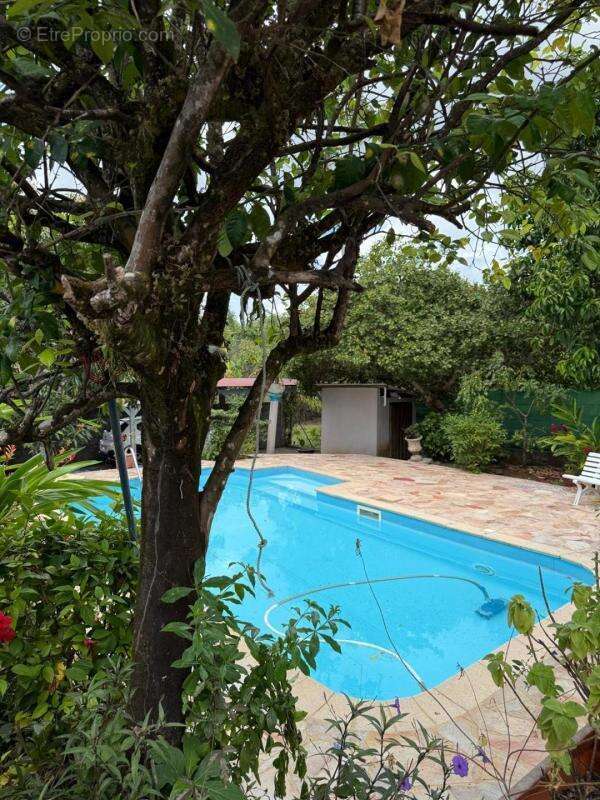 Maison à RIVIERE-SALEE