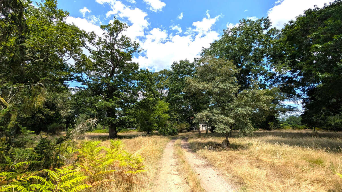 Maison à MONT-DE-MARSAN
