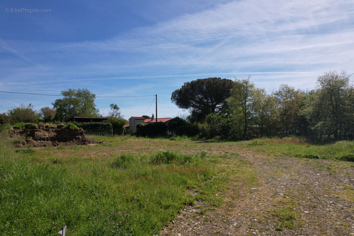 Terrain à LAVERNOSE-LACASSE