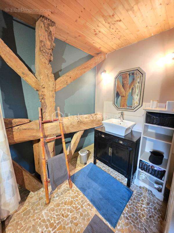 Maison en pierre + gite - etang- 2 piscines- parcelle 8745 m² -st pierre de clairac - photo 30