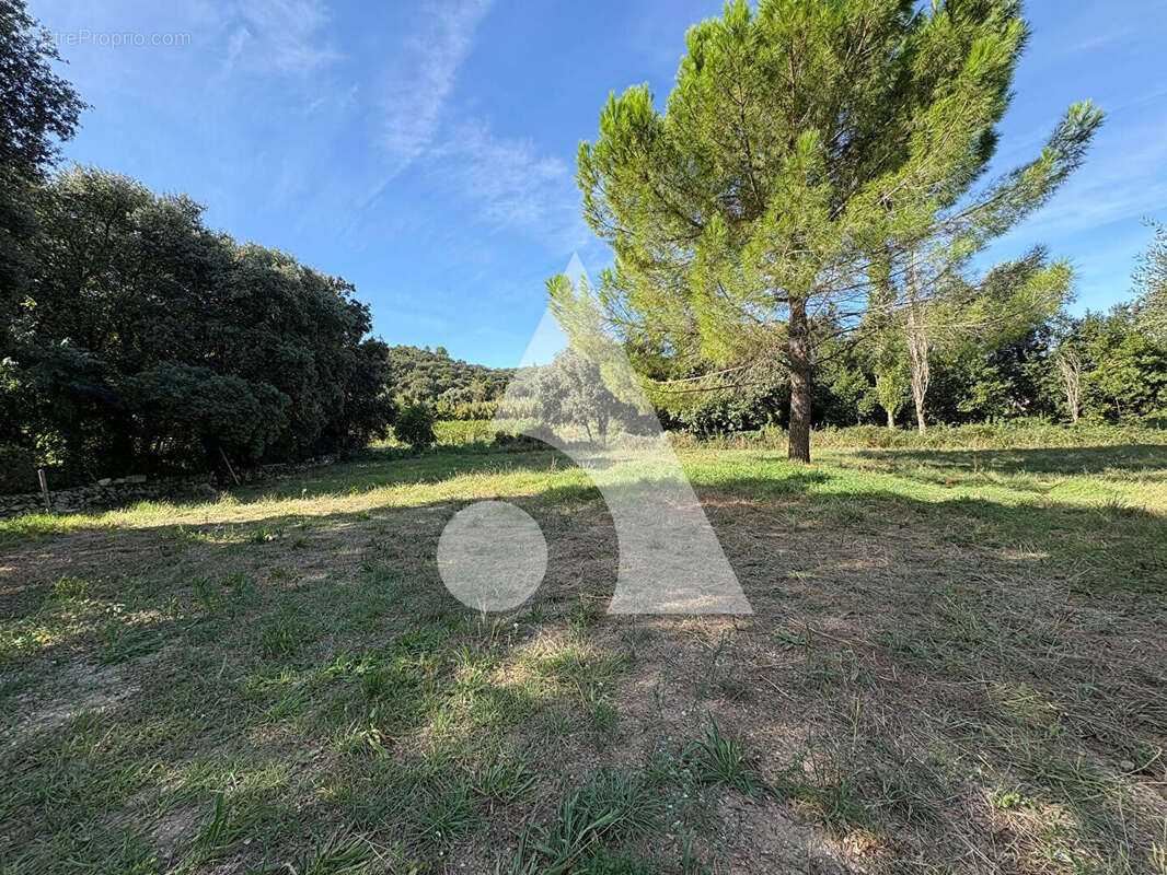 Terrain à LE POUGET