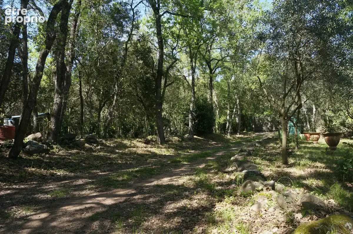 Terrain non constructible avec cabanon - photo 4