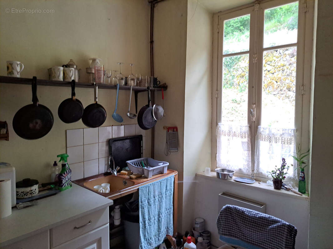 Maison en pierre 168m2, 11 pièces, terrasse et terrain à Carcanières les Bains - photo 23