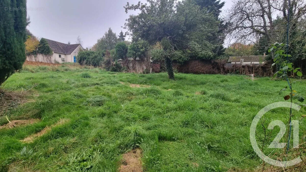 Terrain à BOIS-LE-ROI