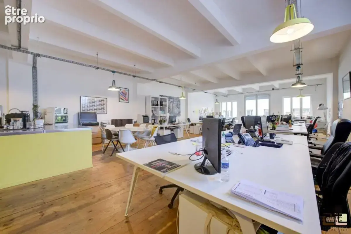 LOFT INDUSTRIEL 255 M² QUAI ARLOING  avec terrasse   et parking ( bureau ou habitation ) - photo 13