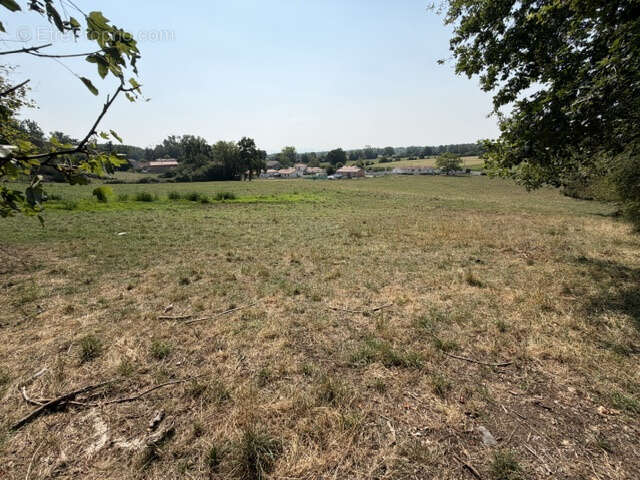 Grand terrain de 17 698 M2 avec partie constructible de 1549 M2 - photo 7