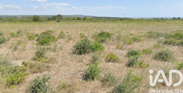 Photo 1 - Terrain à LA PALME