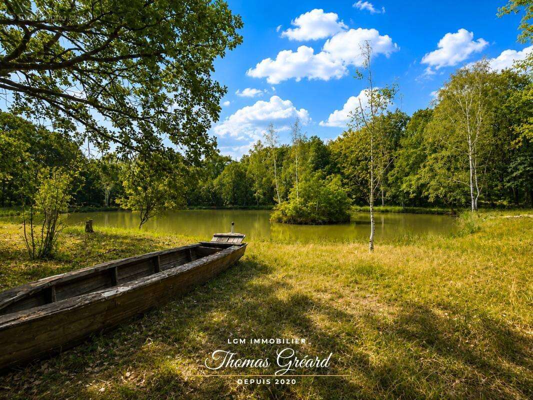 Terrain de loisirs 19 969 m² avec étang de pêche à Mur-de-Sologne - photo 5