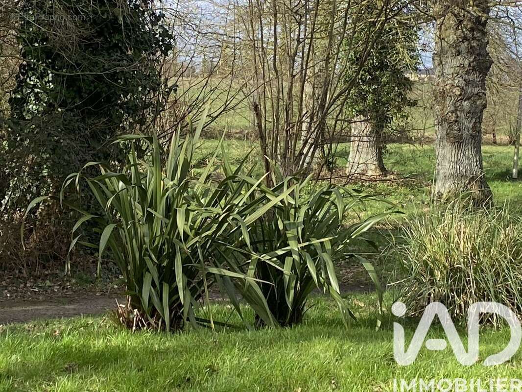 Photo 3 - Maison à BETTON