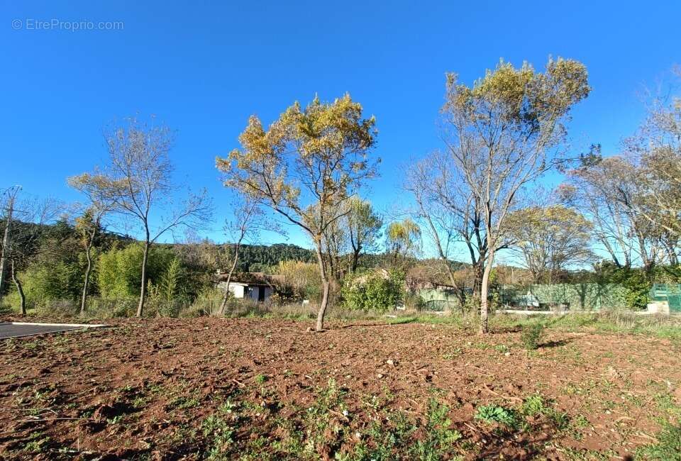 Terrain à LE LUC