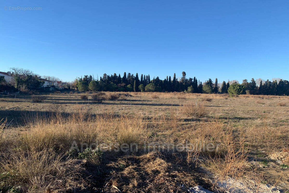 Terrain à PALAU-DEL-VIDRE