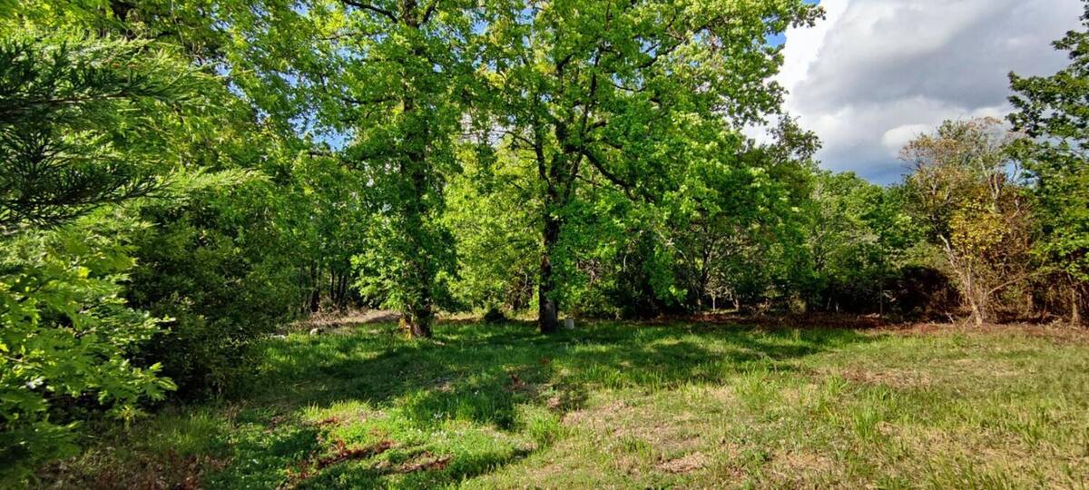 Terrain à VILLEFRANCHE-DE-LONCHAT