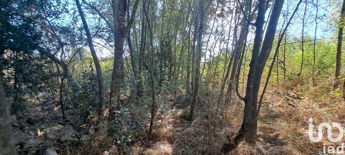 Photo 2 - Terrain à SAINT-CHRISTOL-LES-ALES