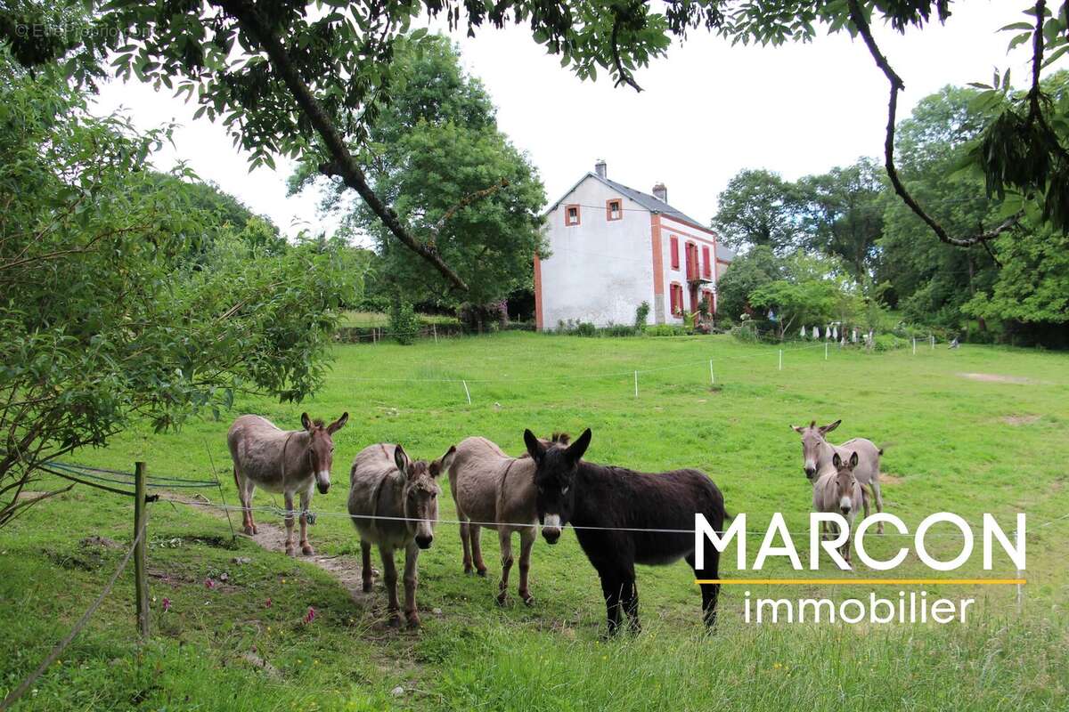 Maison à CHAMPSANGLARD