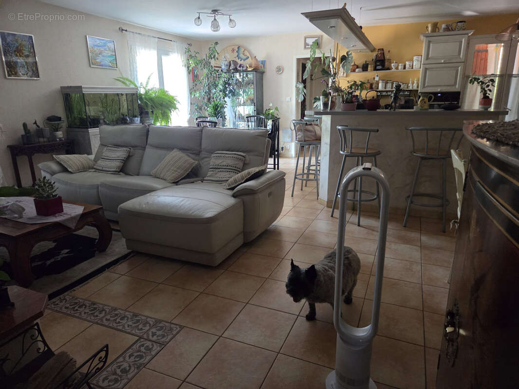 Drme Provencale Villa plein pied,3 chambres, garage, piscine couverte ,source 7000 m2, campagne. - photo 19