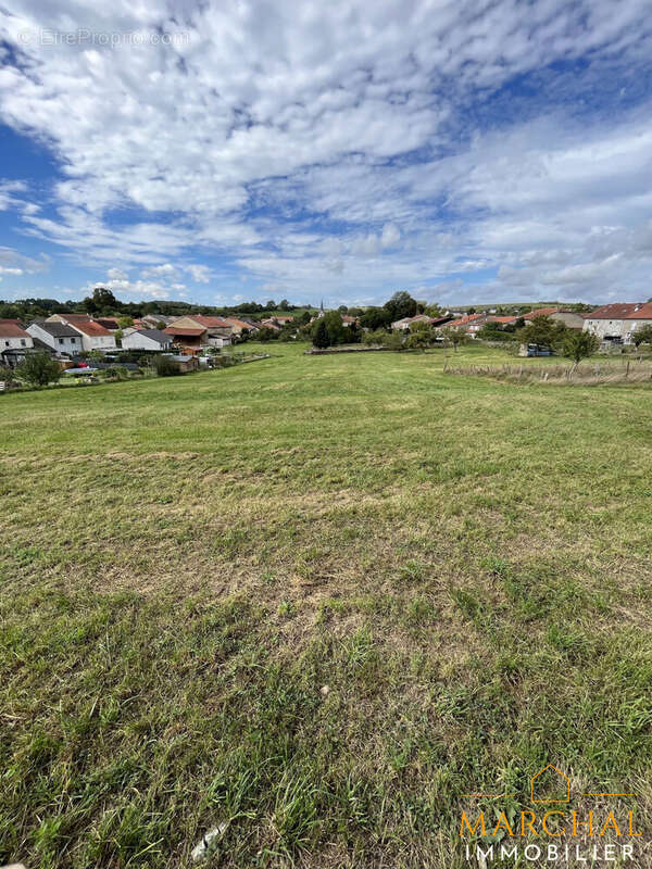 Terrain à SERVIGNY-LES-RAVILLE