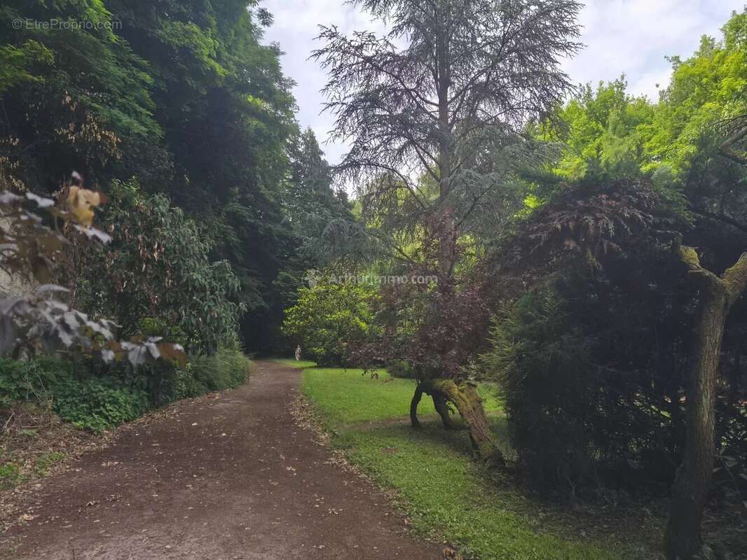 Maison à LA CHARTRE-SUR-LE-LOIR