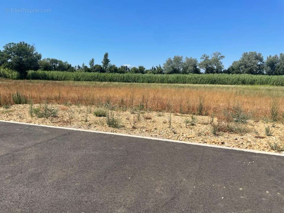 Terrain à SAINT-MARTIN-DE-CRAU
