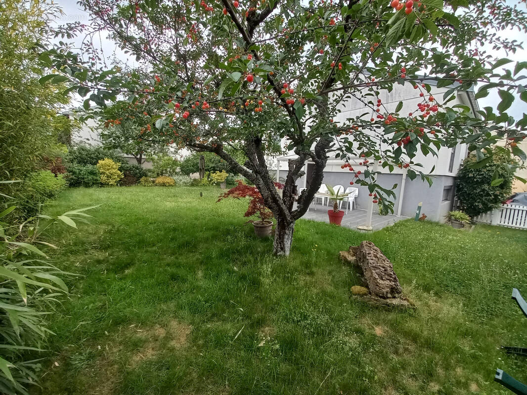 Maison à VILLERS-LES-NANCY