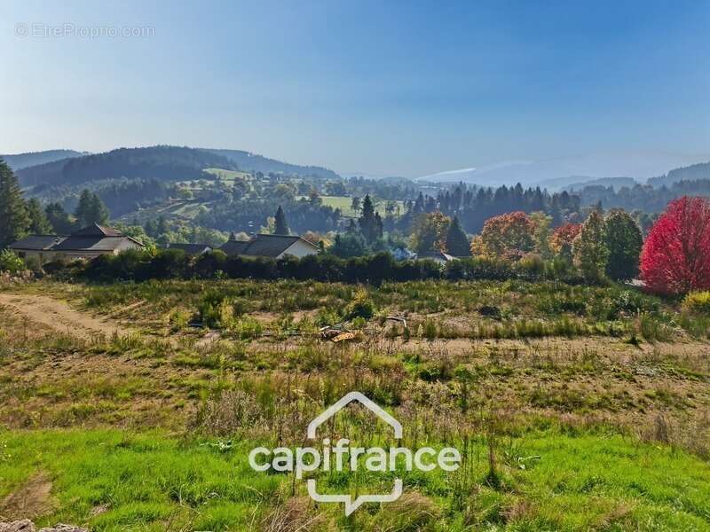 Terrain à CELLES-SUR-DUROLLE