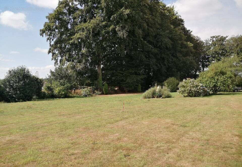 Terrain à DOUDEVILLE