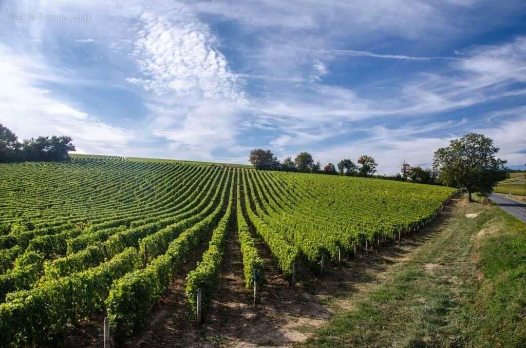 Terrain à CHINON