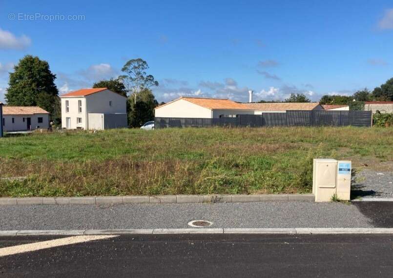 Terrain à SAINT-MARS-DE-COUTAIS