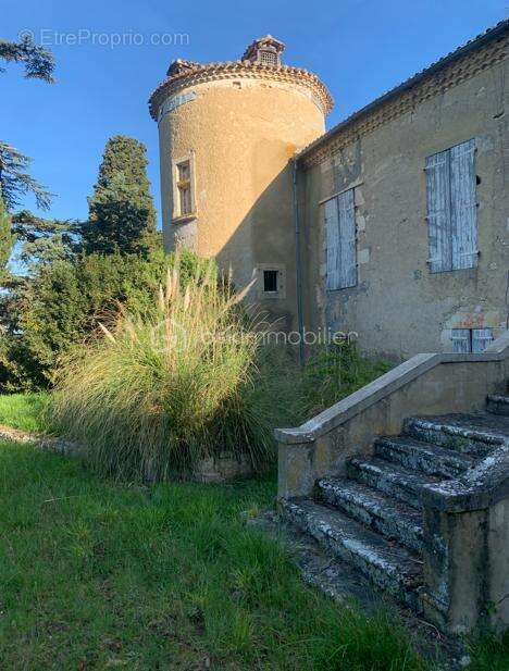 Proche d' Auch - Propriété de 27ha avec Château - photo 3