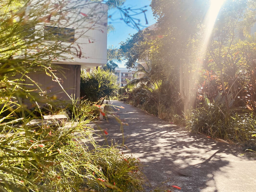 Terrain à SAINTE-MARIE
