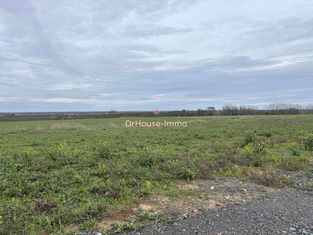 Terrain à CHAILLE-LES-MARAIS