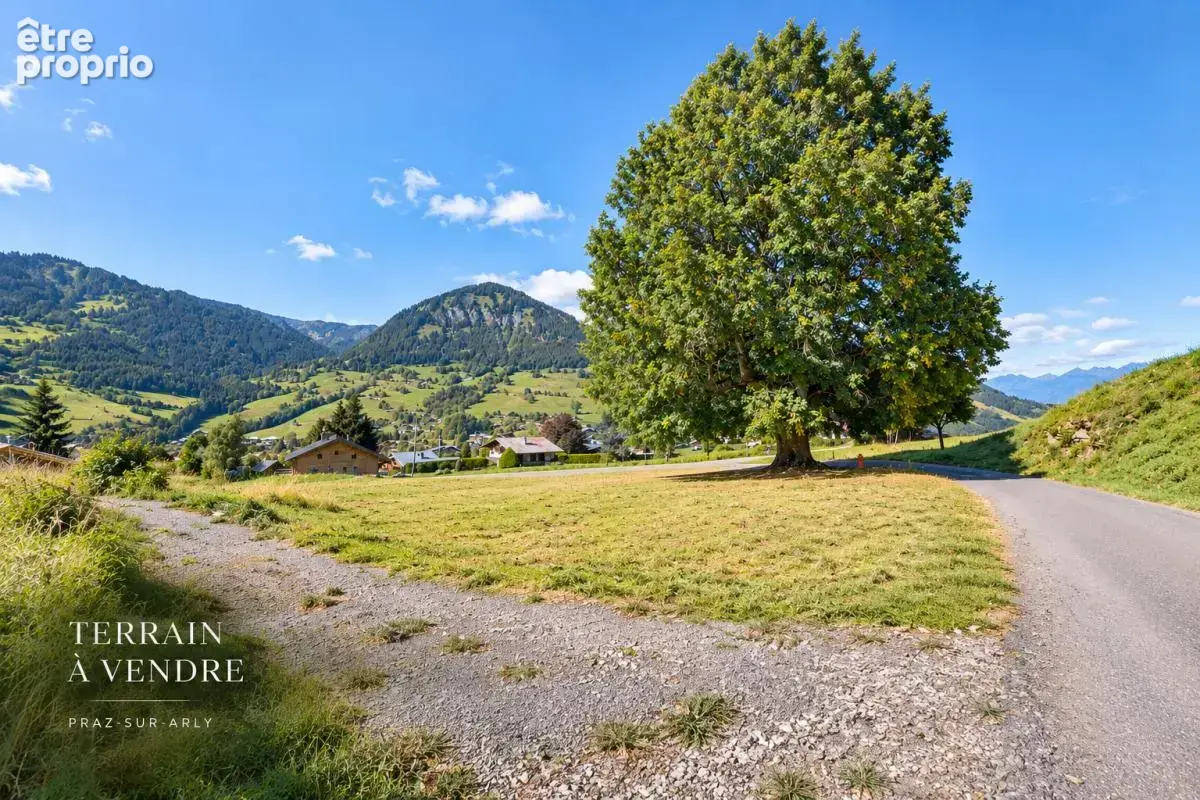 Terrain Praz Sur Arly 888 m2 - photo 3