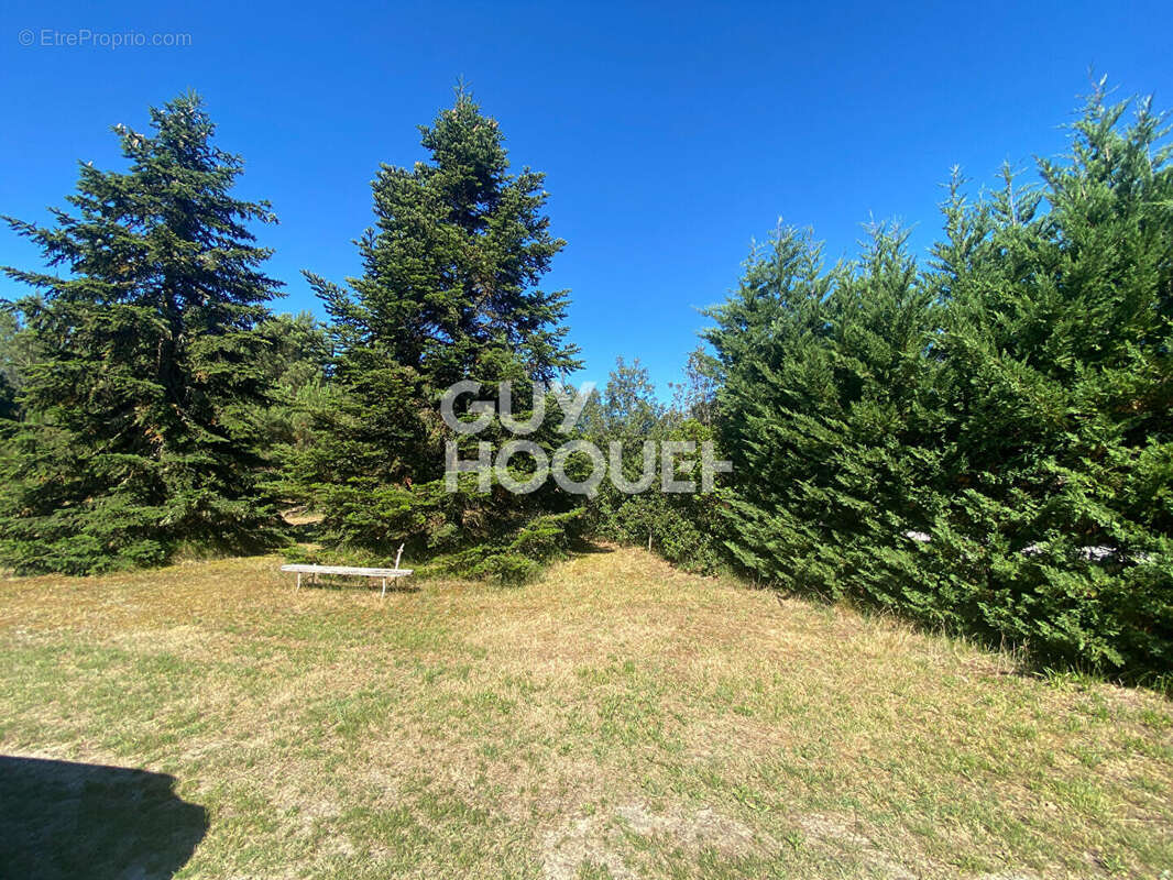 Terrain Centre-Bourg Escource 1490 m2 - photo 2