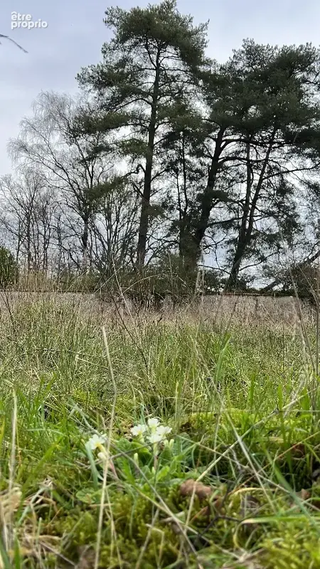 Terrain 190 m² à vendre à Chevreuse (78460) - photo 3